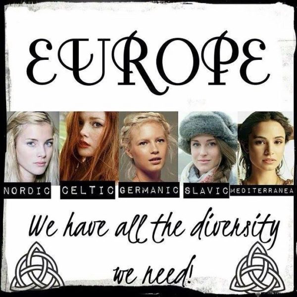 europe Europe : nous avons (déjà) toute la diversité qu'il nous faut !