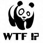 wwf-wtf