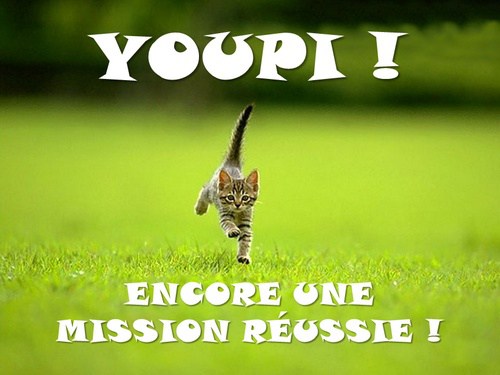chaton-youpi-encore-une-mission-reussie-1