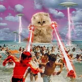 lolcat-attaque-chat-laser