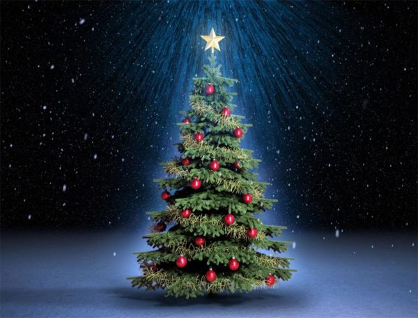 arbre de Noël