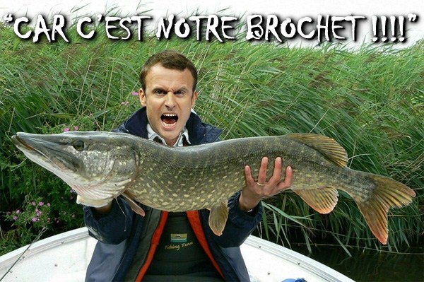 le-brochet-de-macron