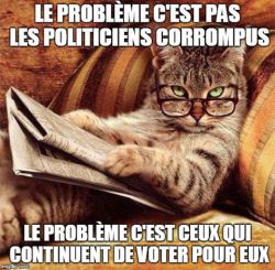 cat-probleme-pas-politiciens-corrompus-mais-ceux-qui-votent-pour-eux