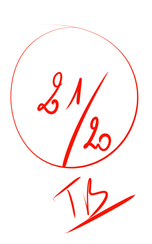 Raphaël, bachelier avec 21,19 de moyenne…