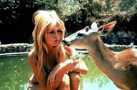 Brigitte Bardot VS la grande mosquée de Strasbourg : La France ne sera pas “la première mouquère de l’islam”