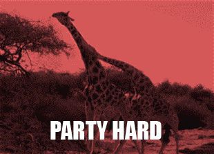 gifa-party-hard-girafe-gap