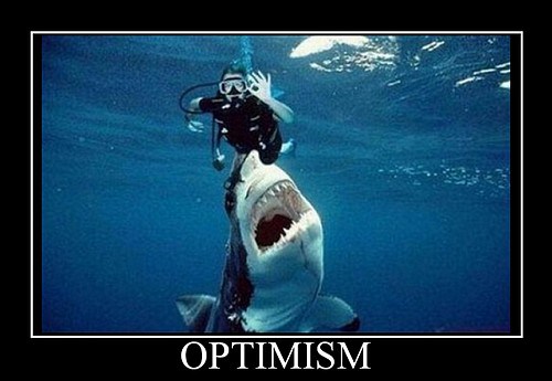 optimism-shark