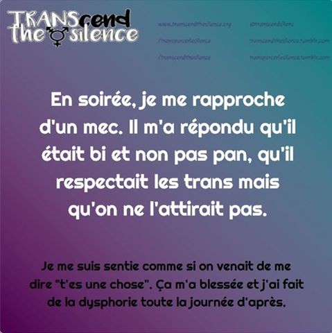 Bientôt une loi pour condamner les Français que les transsexuels n’attirent pas ?