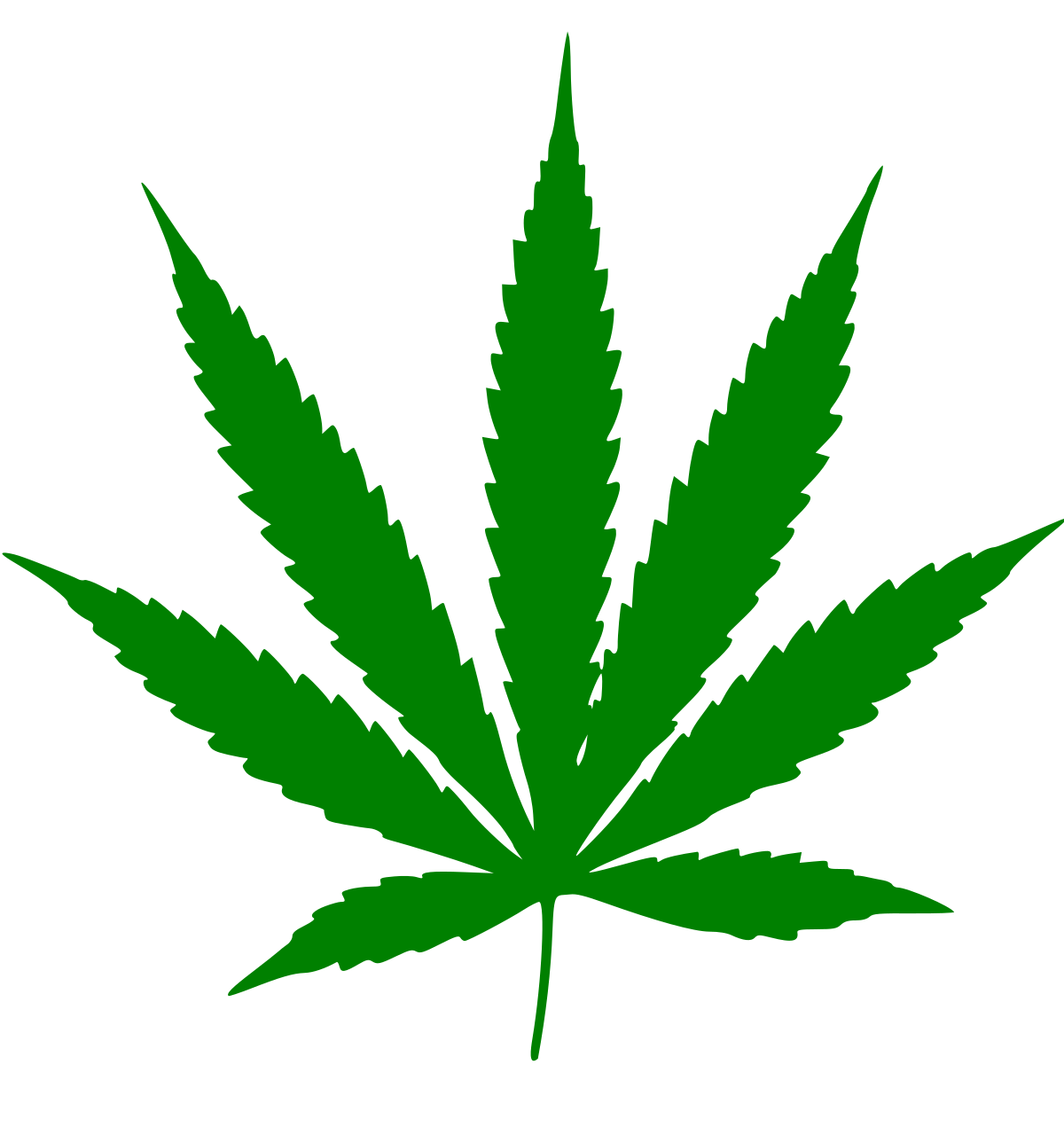 Le business du cannabis EXPLOSE en Californie