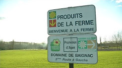 Ces commerçants se battent pour conserver leurs panneaux publicitaires à l’entrée de leur ville