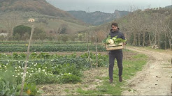 Agriculteurs : leurs enfants retournent à la terre