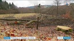 Corrèze : massacre à la tronçonneuse