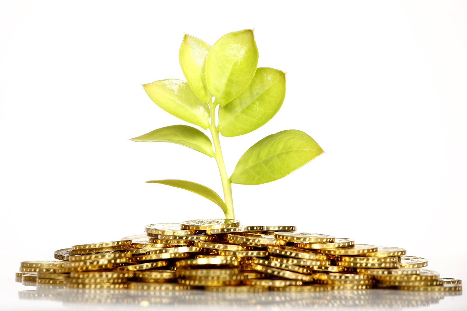 Microfinance : on ne prête qu’aux pauvres