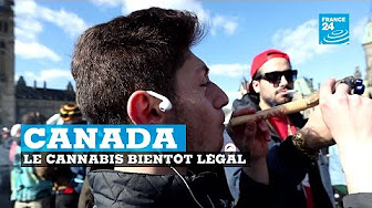 Canada : le cannabis légal dans 4 mois…