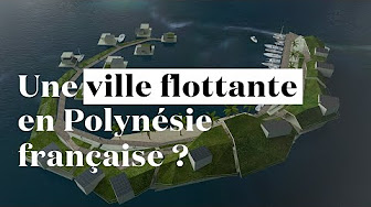 Bientôt une île artificielle et libertarienne en Polynésie française ?