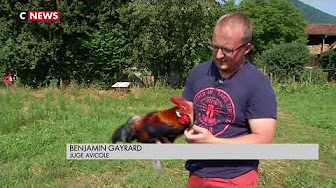 Le coq gaulois : histoire d’un symbole de l’équipe de France
