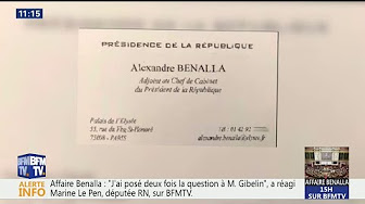 Alexandre Benalla se présentait dans une carte de visite avec un titre qui n’était pas le sien