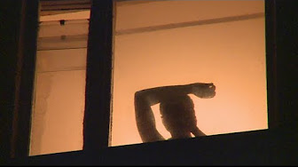 Prostitution, la face cachée du mondial de football