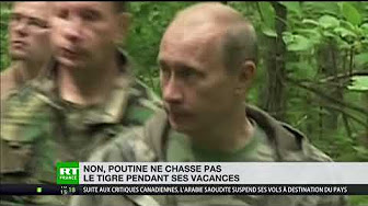 Poutine, chasseur de tigres ?