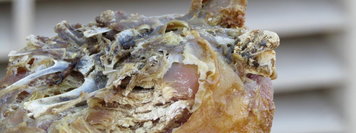 Scandale : 5 tonnes de viande avariée destinées aux kebabs franciliens saisies…