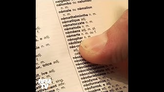 Amphigourique, mugueter, enchifrènement : ces mots disparus du dictionnaire