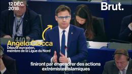 Le député italien Angelo Ciocca brandit un gilet jaune en pleine séance du Parlement européen (VIDÉO)
