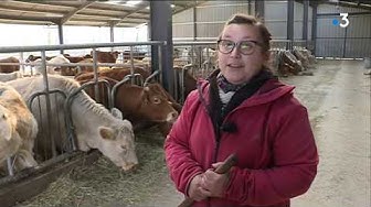 Agriculture : les éleveurs creusois appellent à l’aide (VIDÉO)