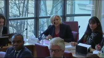 Intervention de Marine Le Pen en commission : “Nous risquons de perdre Mayotte !”