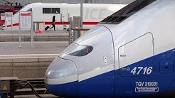 Italie : le tunnel Lyon-Turin fragilise la coalition gouvernementale