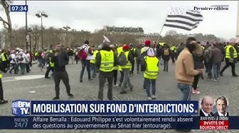 Le RN est n°1 aux européennes chez les Gilets Jaunes et les Ultramarins