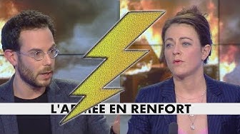 Clément Viktorovitch VS Marie-Laure Harel qui qualifie les casseurs de terroristes : « Vous vous ridiculisez ! »