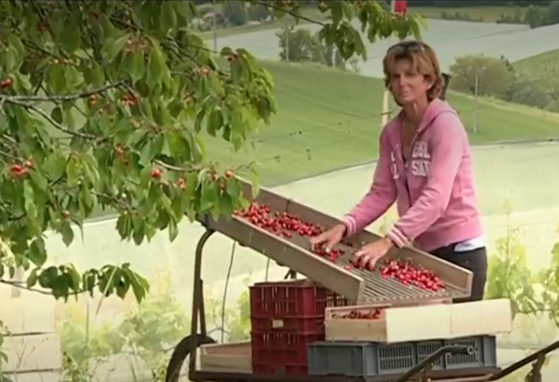 Agriculture : mobilisation contre la concurrence déloyale des produits étrangers (VIDÉO)