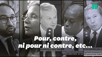 Les 50 nuances de LREM sur la PMA sans père (FLORILÈGE)
