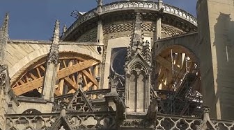La canicule menace Notre Dame de Paris