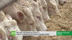 Le CETA, une menace pour l’agriculture française et européenne ?