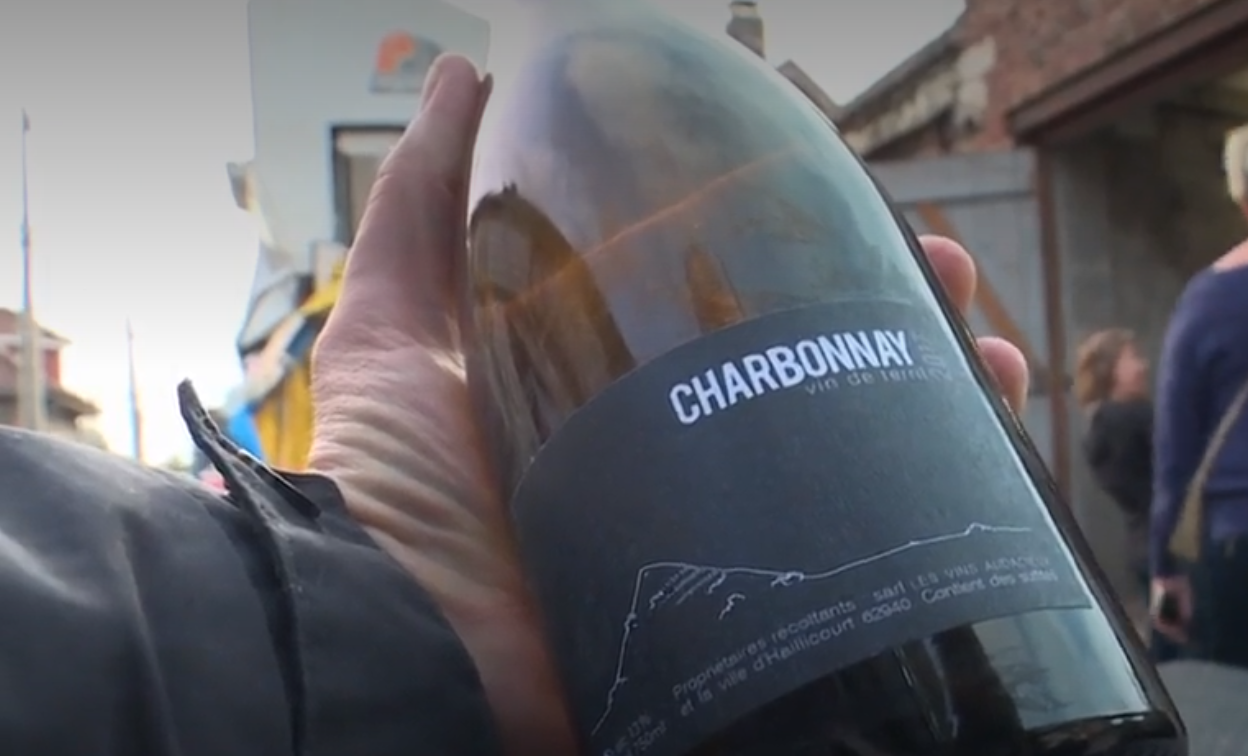 Pas-de-Calais : des vendanges ont eu lieu sur un terril (VIDÉO)