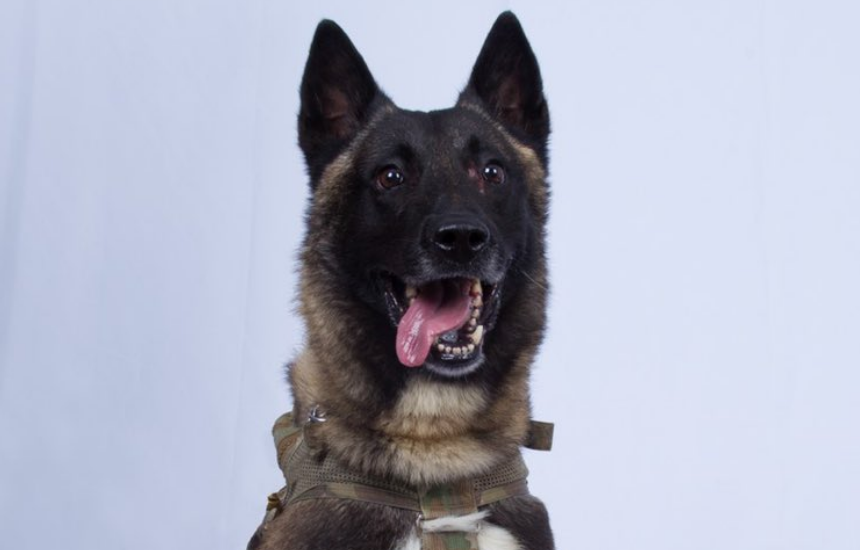 Donald Trump présente le chien qui a tué Abu Bakr al-Baghdadi