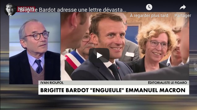 Brigitte Bardot adresse une lettre dévastatrice à Emmanuel Macron