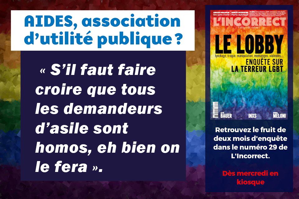 En plus d'attaquer la famille, le lobby homo est ...