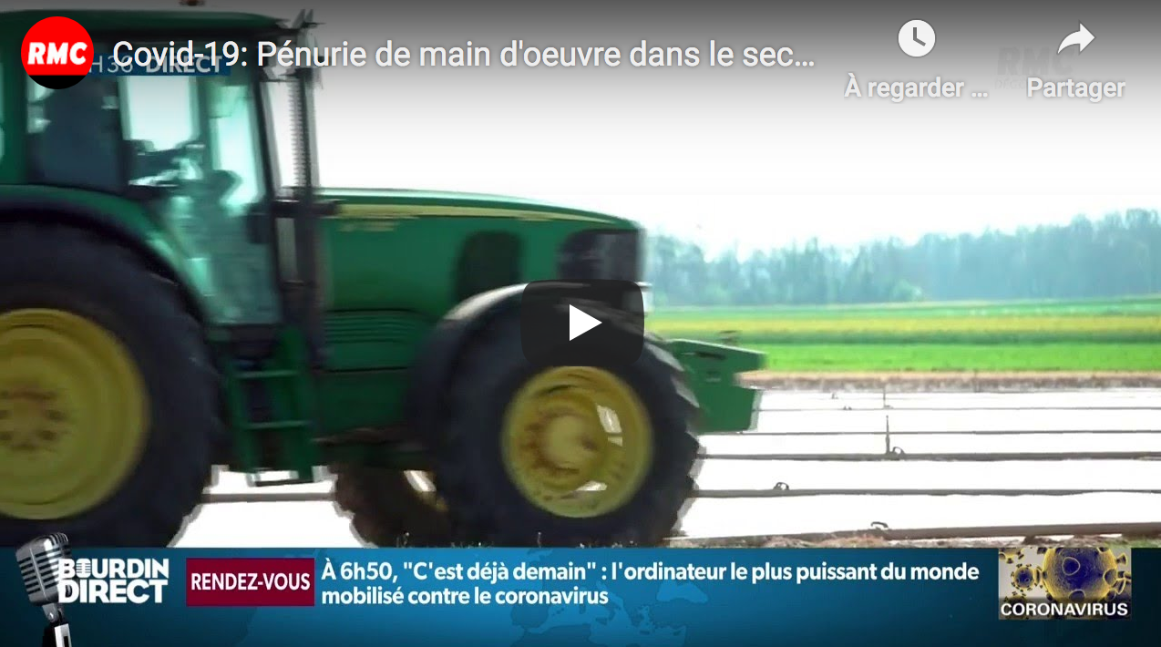 Covid-19 : Pénurie de main d’œuvre dans le secteur agricole