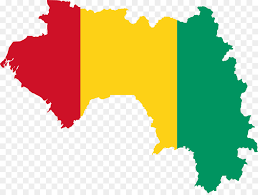 Dr Noël Tordo : “En Guinée, nous donnons de la chloroquine et cela a ses effets sur les premières phases” (VIDÉO)