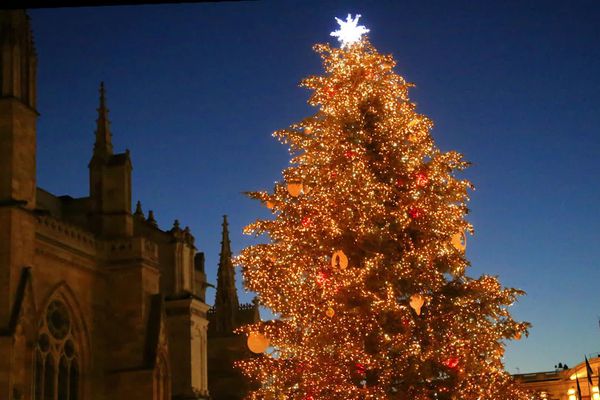 Déjà plus de 12 000 signatures pour réclamer un sapin de Noël à Bordeaux