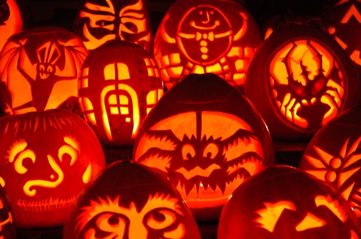 Ces animaux qui “fêtent” Halloween!