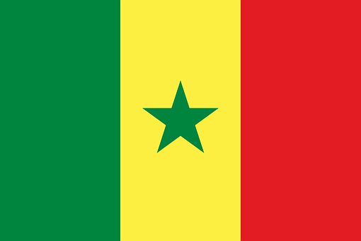 Le Sénégal préfère le wolof au français (Vidéo)