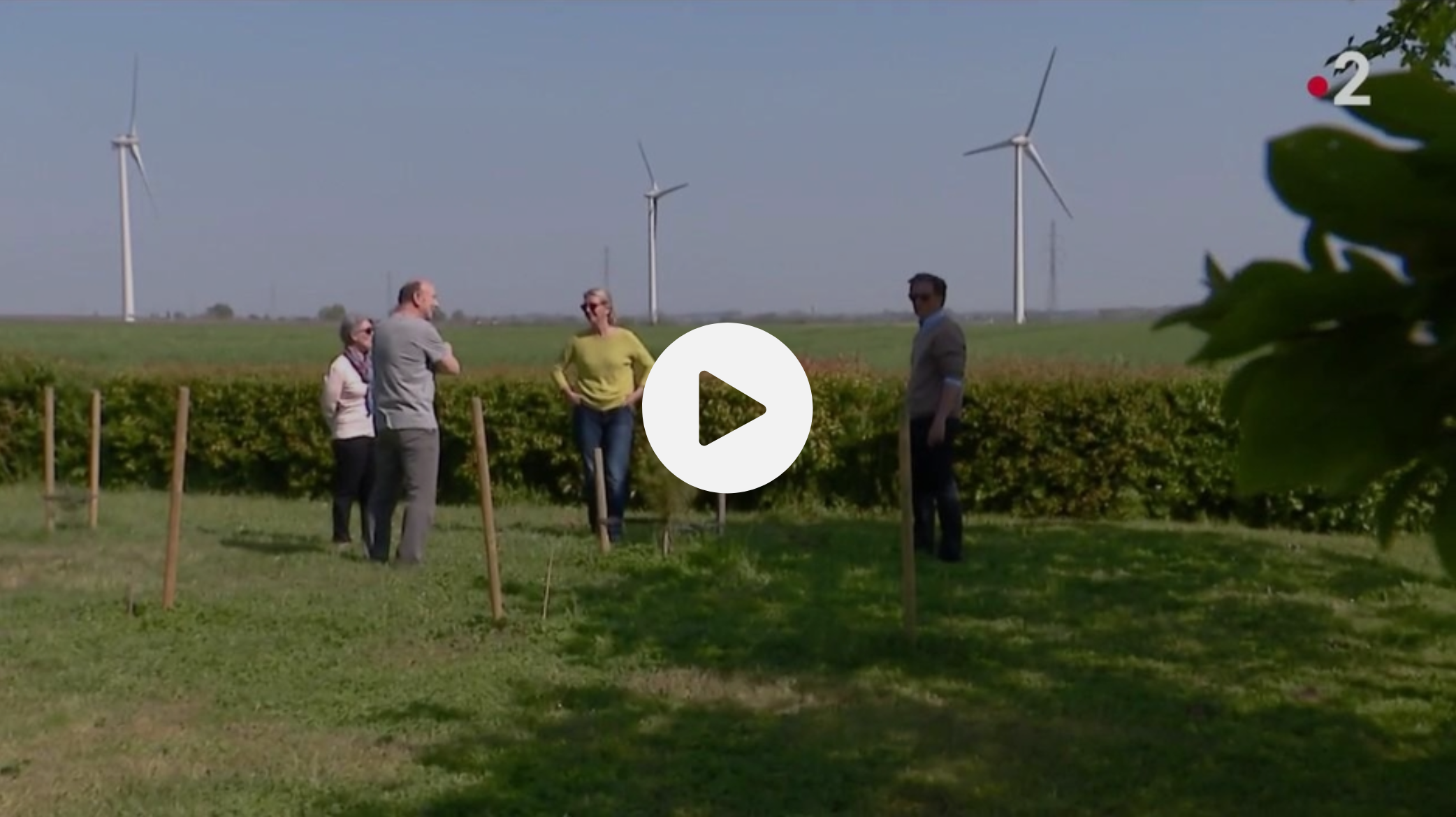 Énergie : réduction d’impôts pour un couple vivant près d’éoliennes, dans le Maine-et-Loire