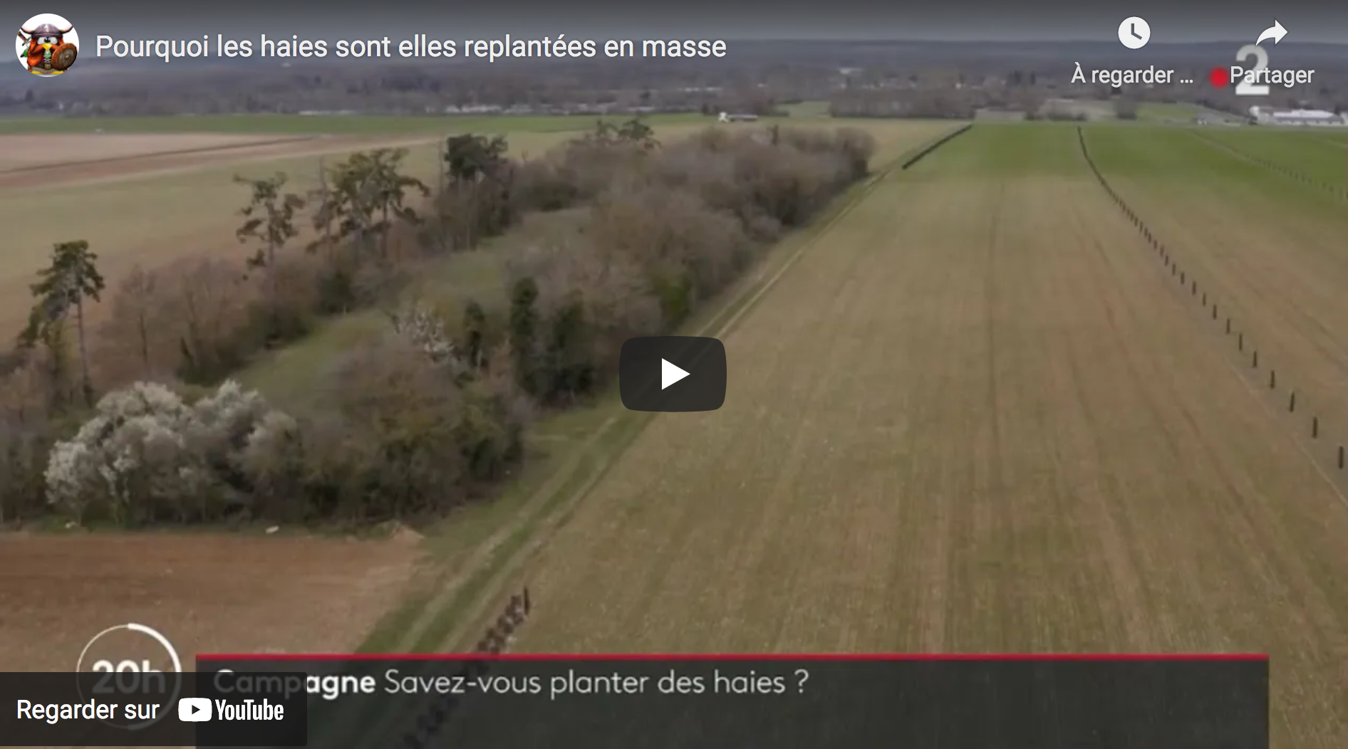 Campagnes françaises : Pourquoi les haies sont-elles replantées en masse ?