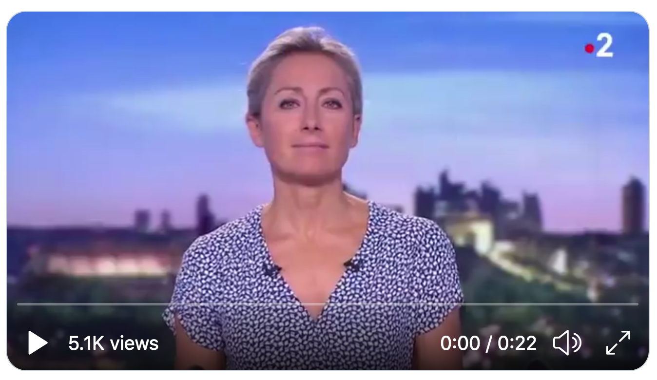 Cergy : Le JT de 20h de France 2 “oublie” de préciser que le racisme est maghrébin anti-Noirs et pas endogène, Clémentine Autain (LFI) aussi…