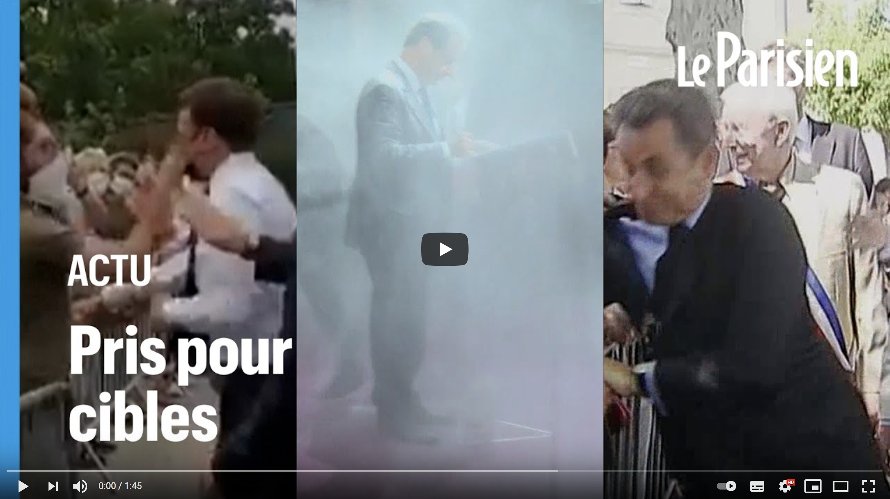 Gifle, farine, œuf : ces politiques qui ont été pris pour cibles (COMPILATION)