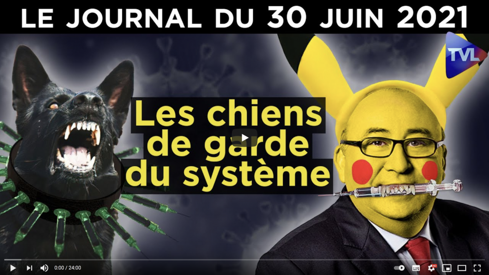 Les Nouveaux Chiens De Garde Streaming Vaccin : Les nouveaux chiens de garde - Nouvelles de France Portail