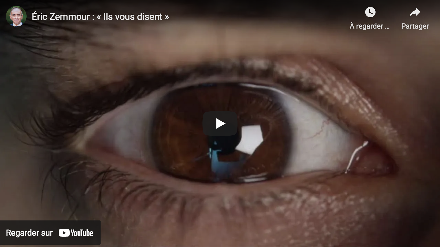 Éric Zemmour : « Ils vous disent » (VIDÉO)